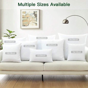 Soft Cushions Insert-Pack Of 2