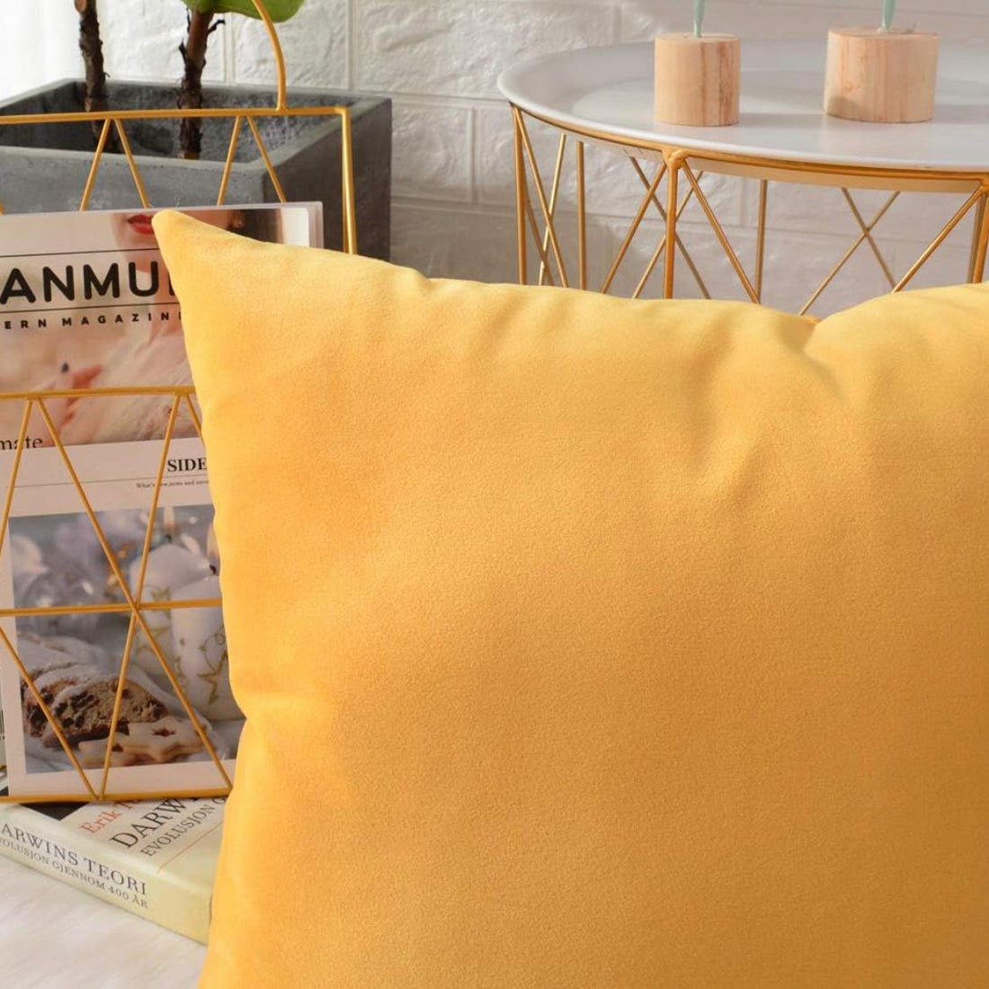 2 Piece Soft Velvet Cushion Covers