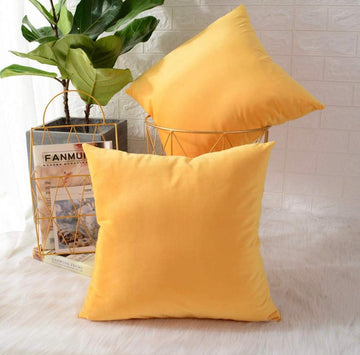 2 Piece Soft Velvet Cushion Covers