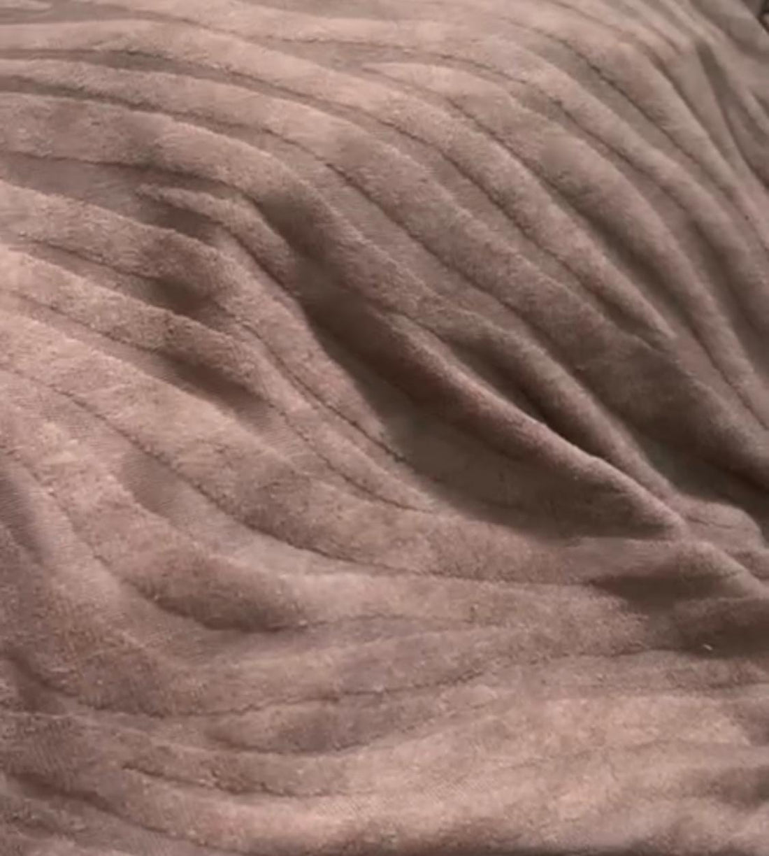 Embossed Zebra Velvet Chair Covers- Chocolate Brown