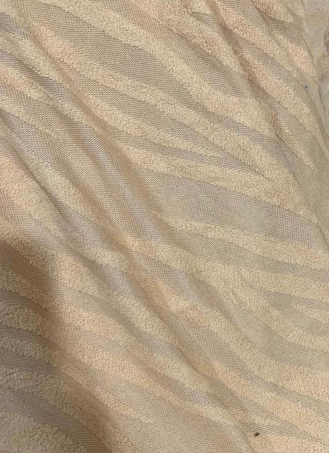 Embossed Zebra Velvet Chair Covers- beige